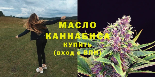 гидра Абаза