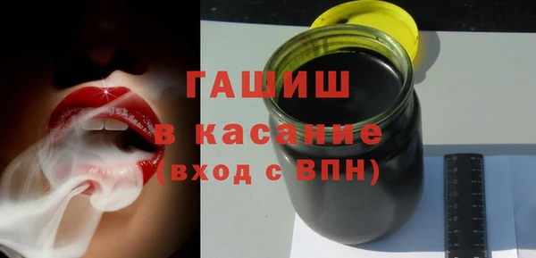 гидра Абаза