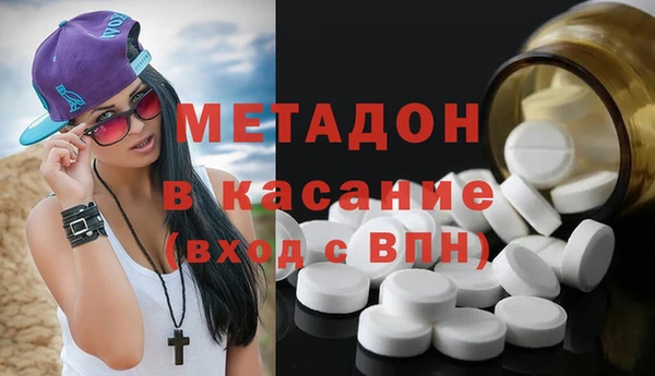гидра Абаза